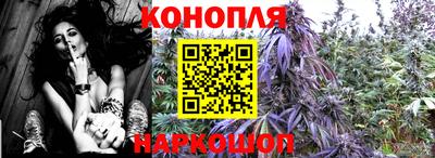 крисы Бугуруслан