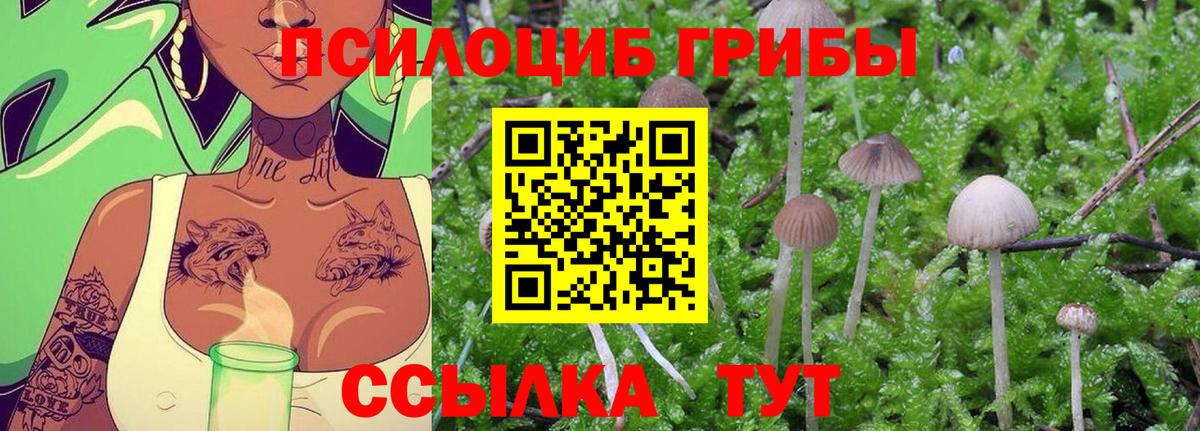Псилоцибиновые грибы Magic Shrooms  Галлюциногенные грибы Cubensis  Сочи  Вход с VPN 